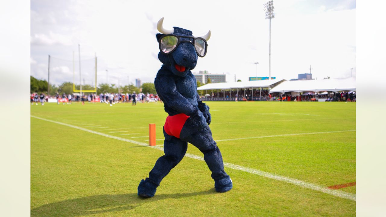 Jacksonville Jaguars mascotin a speedo?