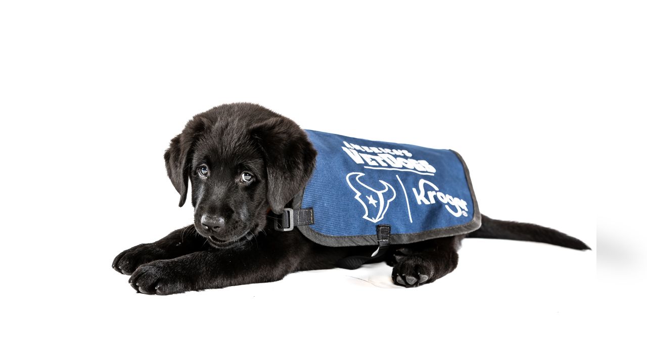 Houston Texans and Kroger partner with America's VetDogs to raise