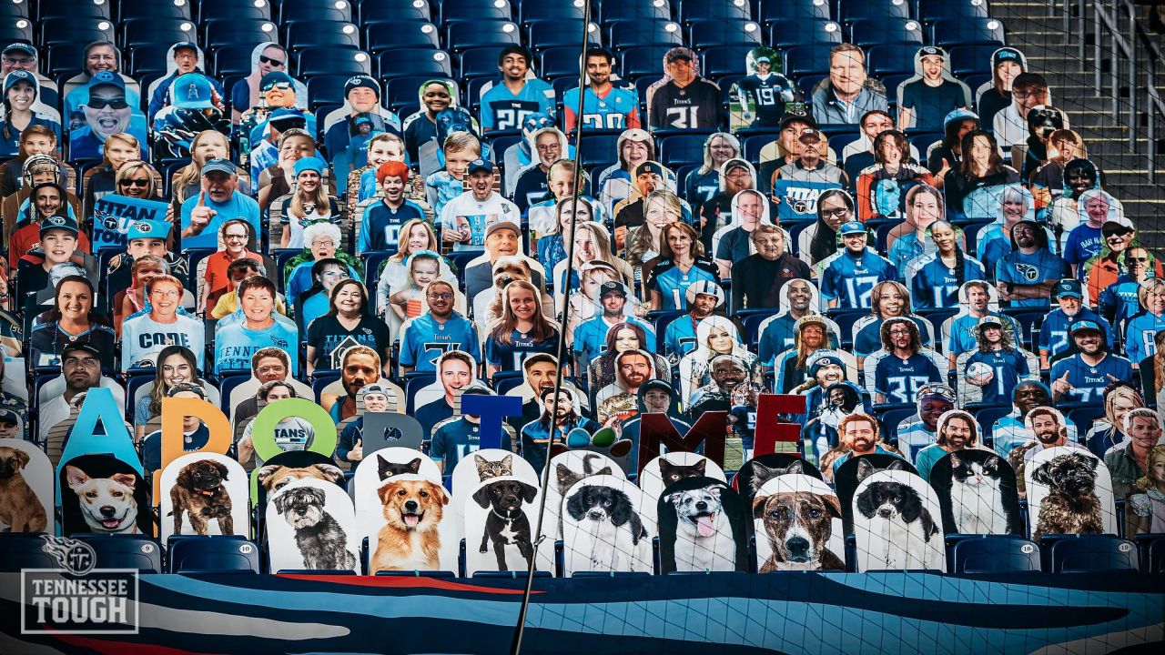 Tennessee Titans team up with Mars Petcare to Help Pets Find Homes