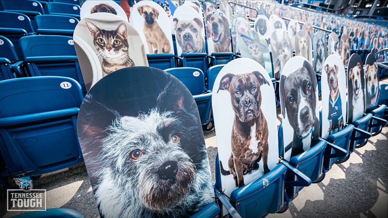 Tennessee Titans team up with Mars Petcare to Help Pets Find Homes