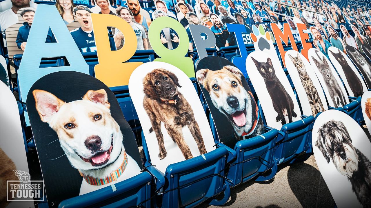 Williamson County Animal Center - Adoptable Margo is a real People dog! No,  REALLY, you can see her pic featured on People in the Tennessee Titans end  zone! Thank you to Mars