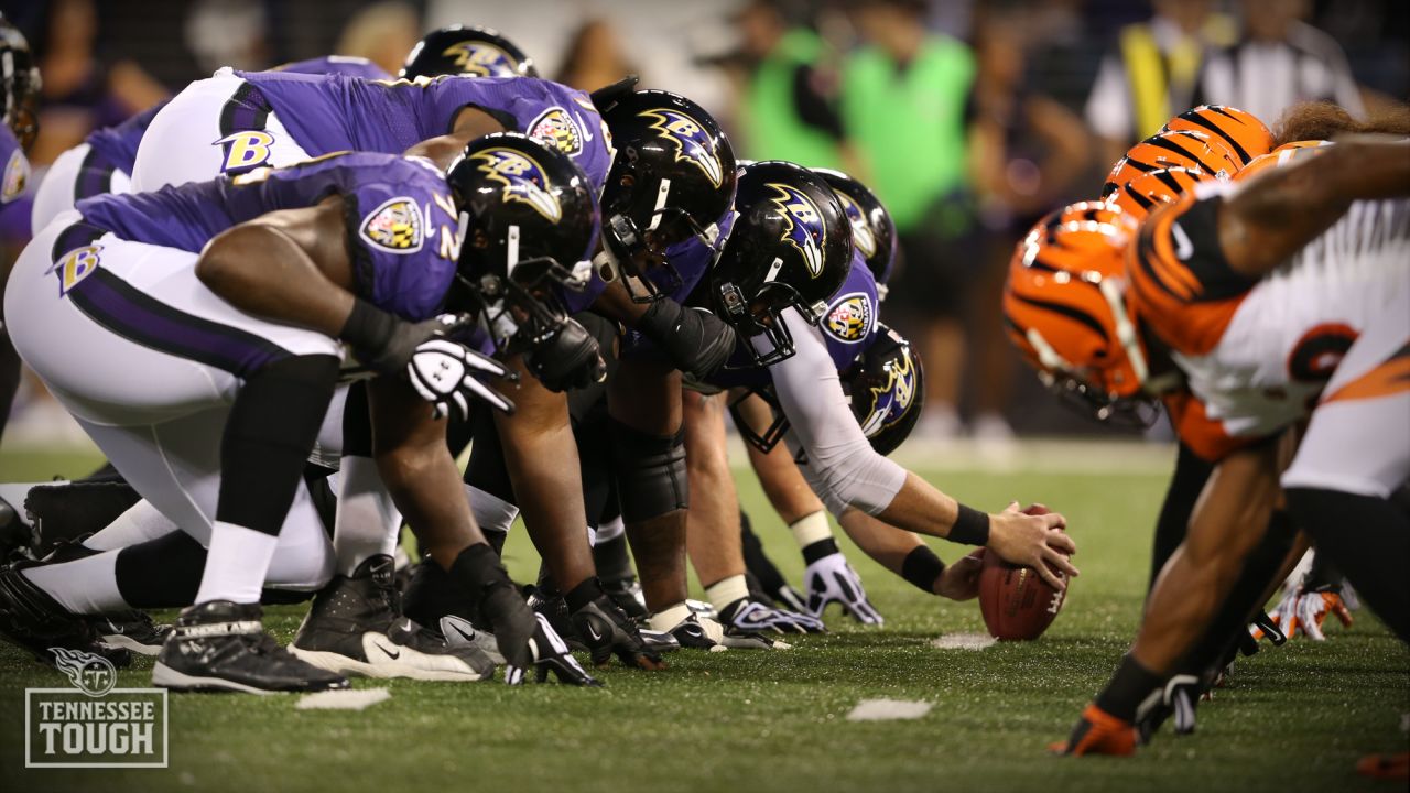 Baltimore Ravens long snapper Morgan Cox (46) waits to take the field while  holding a flag as part of the team's Salute to Service prior to an NFL  football game against the