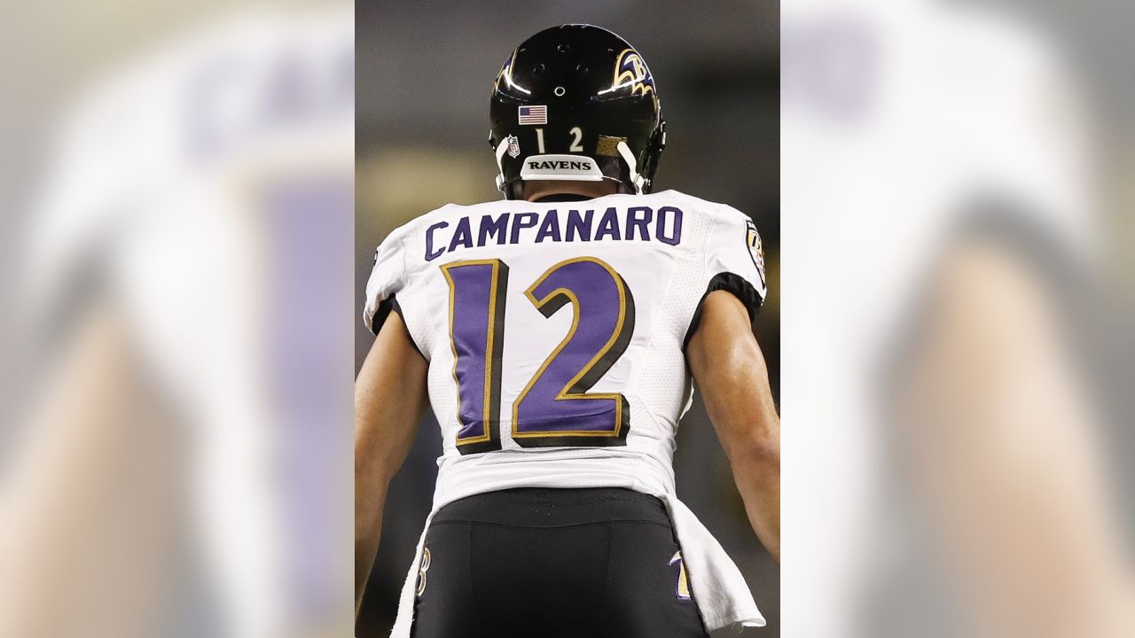 Titans Agree to Terms with WR/Returner Michael Campanaro
