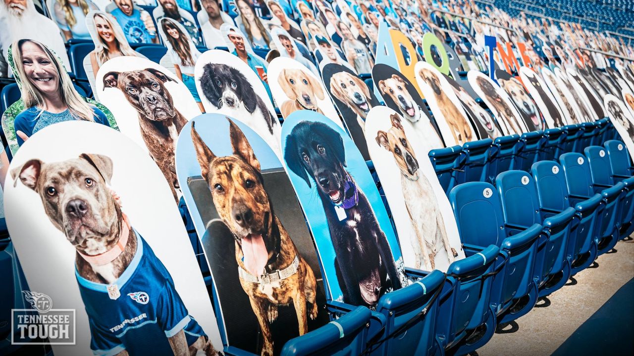 Tennessee Titans team up with Mars Petcare to Help Pets Find Homes