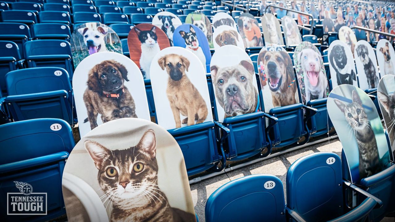 Tennessee Titans team up with Mars Petcare to Help Pets Find Homes