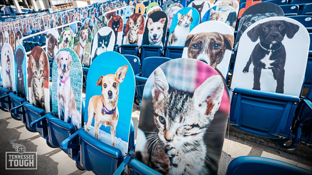 Tennessee Titans team up with Mars Petcare to Help Pets Find Homes