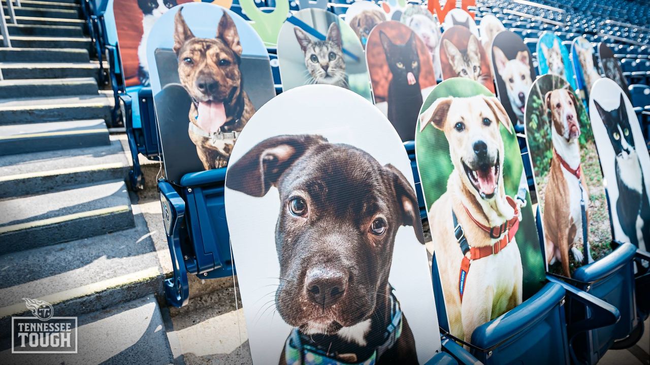 Tennessee Titans team up with Mars Petcare to Help Pets Find Homes