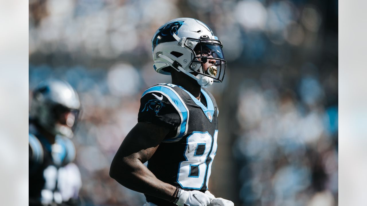 Carolina Panthers wide receiver Terrace Marshall Jr. (88) in action during  the second half of an NFL football game against the Baltimore Ravens,  Sunday, Nov. 20, 2022, in Baltimore. (AP Photo/Terrance Williams