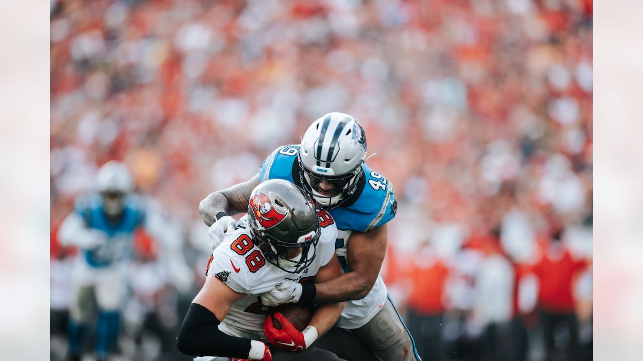 PHOTOS: Game action shots from Panthers-Ravens