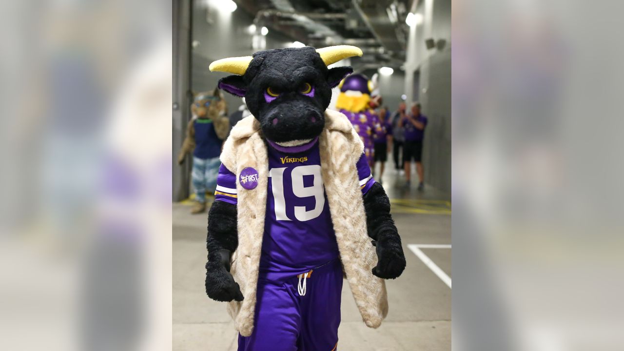 Vikings Mascot Halftime Game