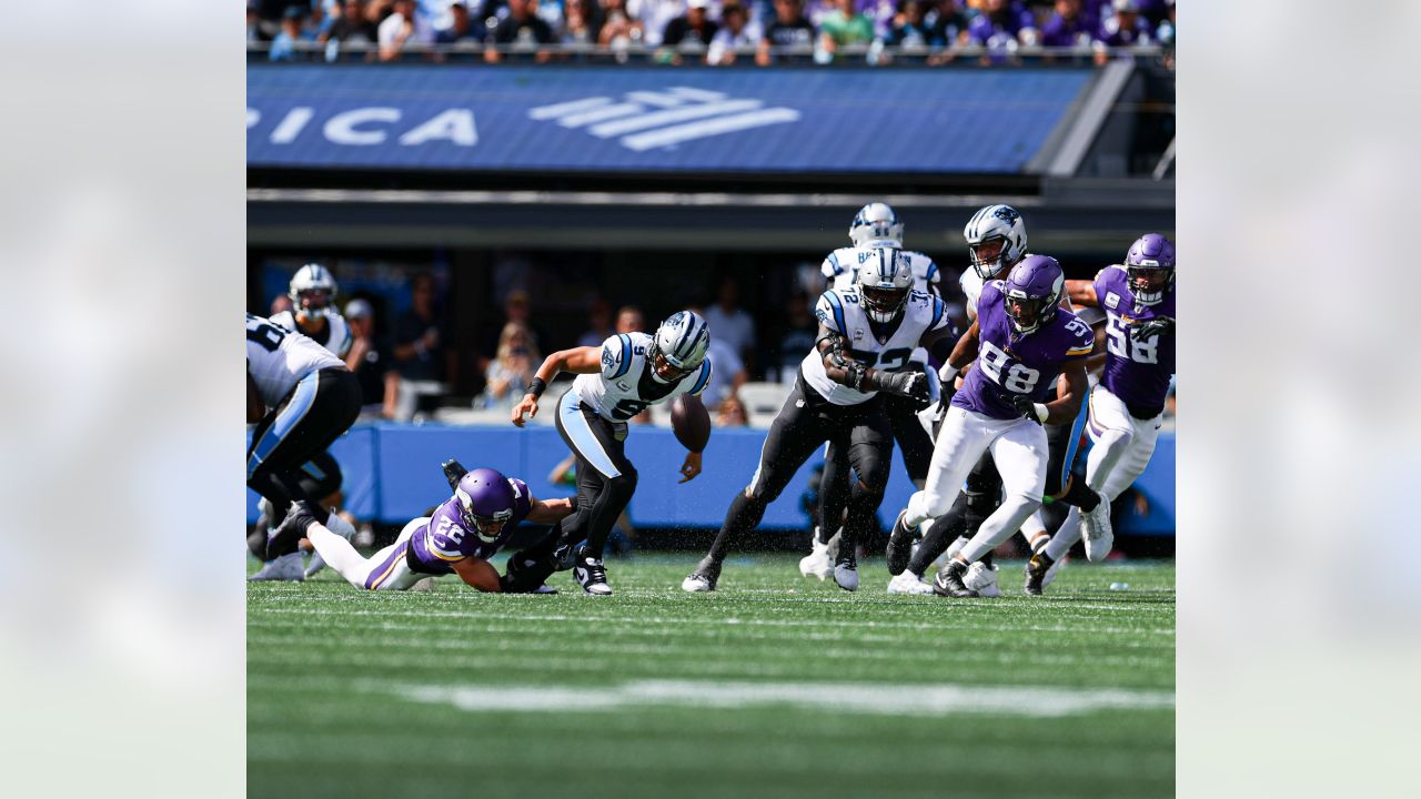 Panthers vs. Vikings, Game Action Gallery