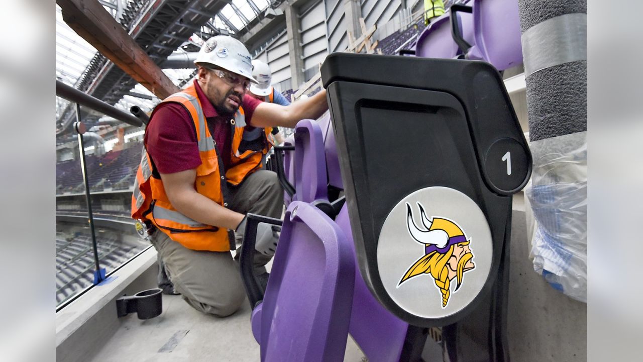 Minnesota Vikings - Image Engineering