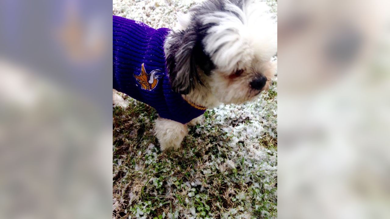 Photos: Fans Celebrate National Puppy Day