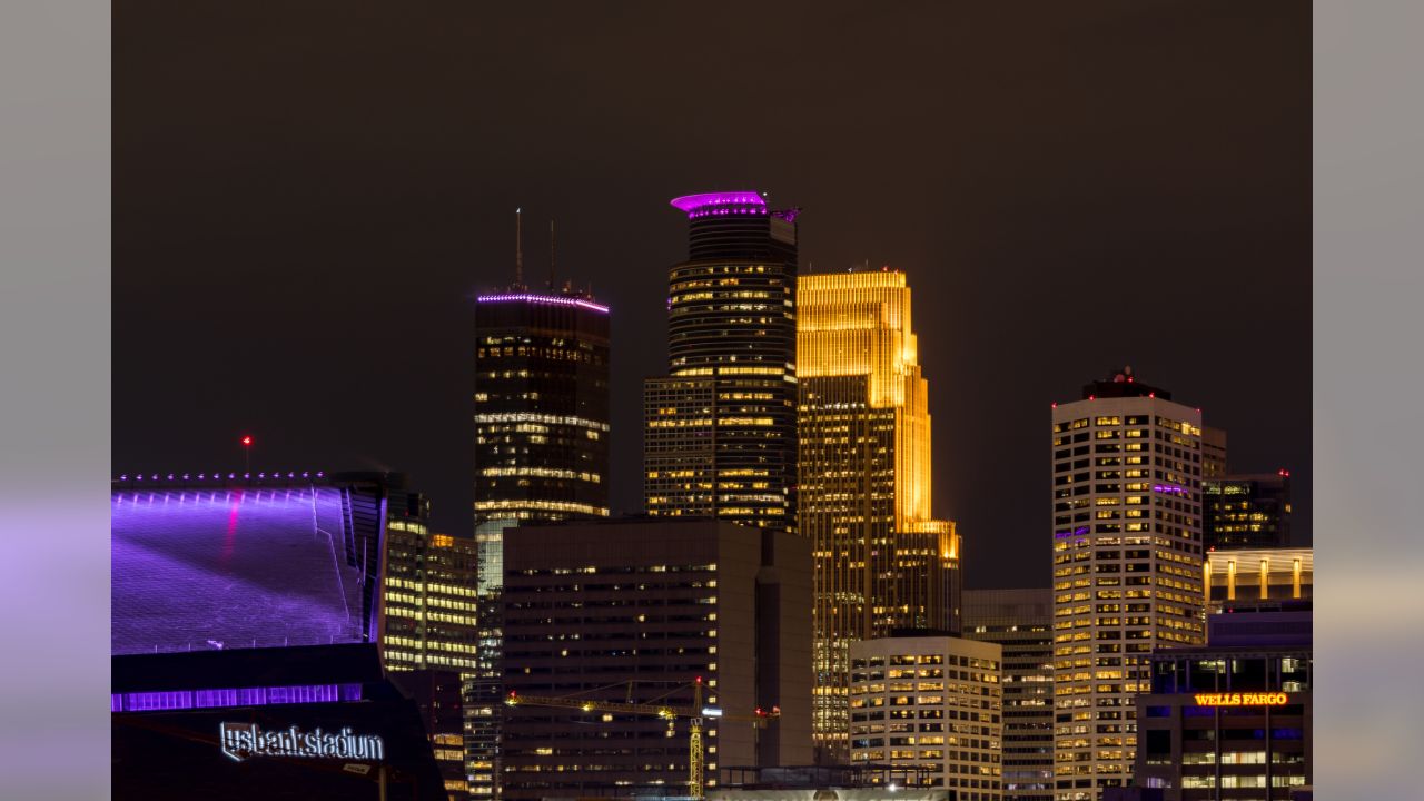 vikings #christmas #tree #purple #gold #theme #football #Minnesota