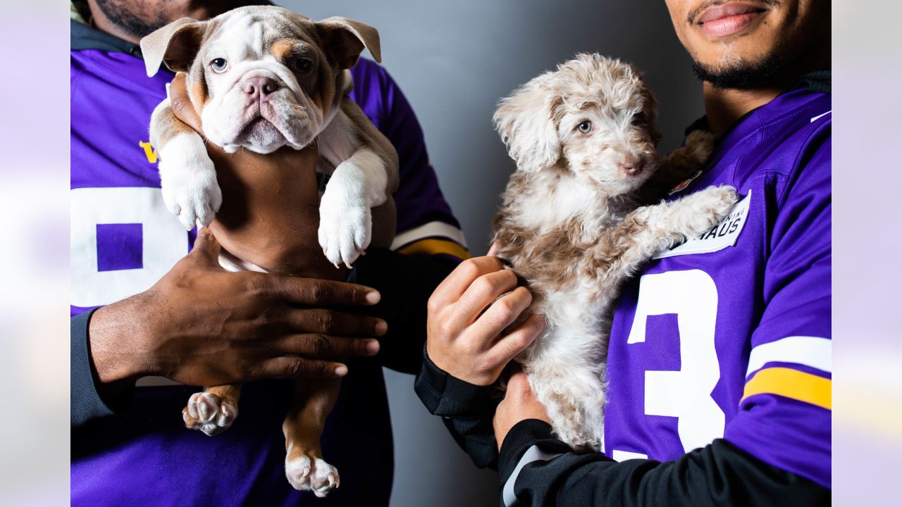 Minnesota Vikings on X: It's #NationalPuppyDay! Tweet your pup in Vikings  gear with #VikingsPets and you could be featured on our website!   / X