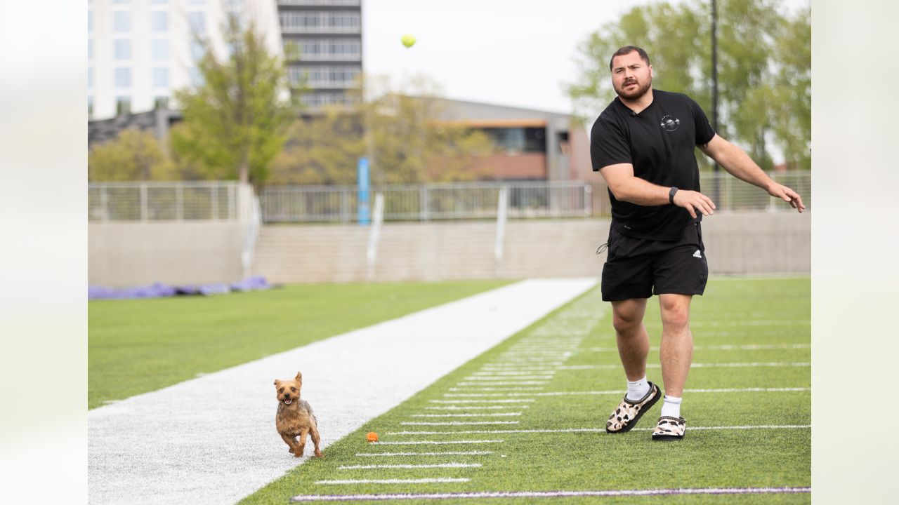 Photos: Vikings Fans Embrace National Dress Up Your Pet Day