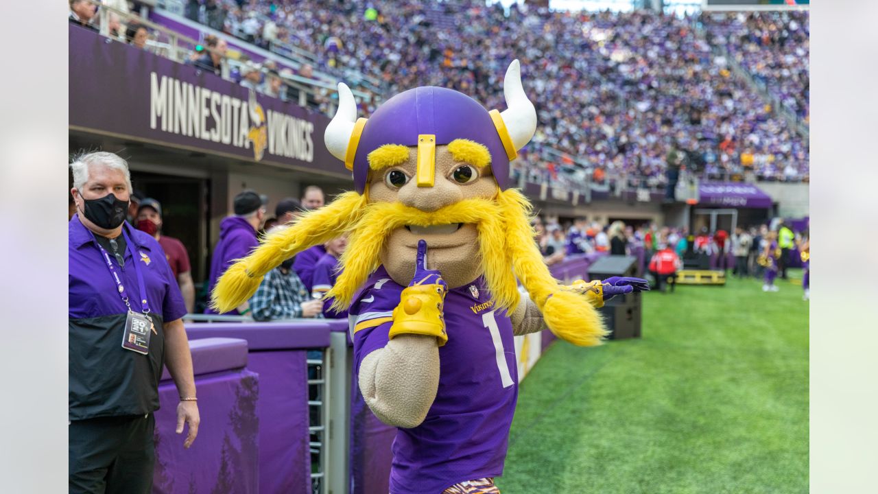 Viktor the Viking (Minnesota Vikings) — DakotaKid Creations