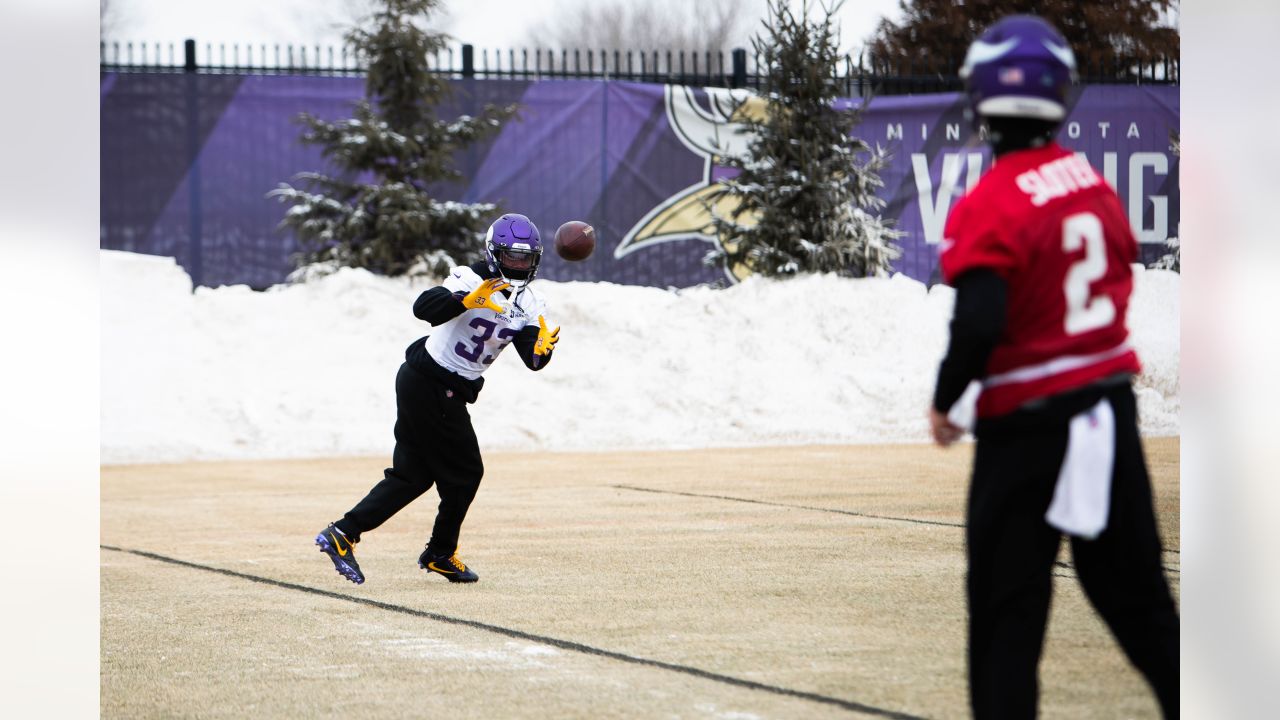 Vikings fans enjoy 'Snow Bowl,' despite frigid loss