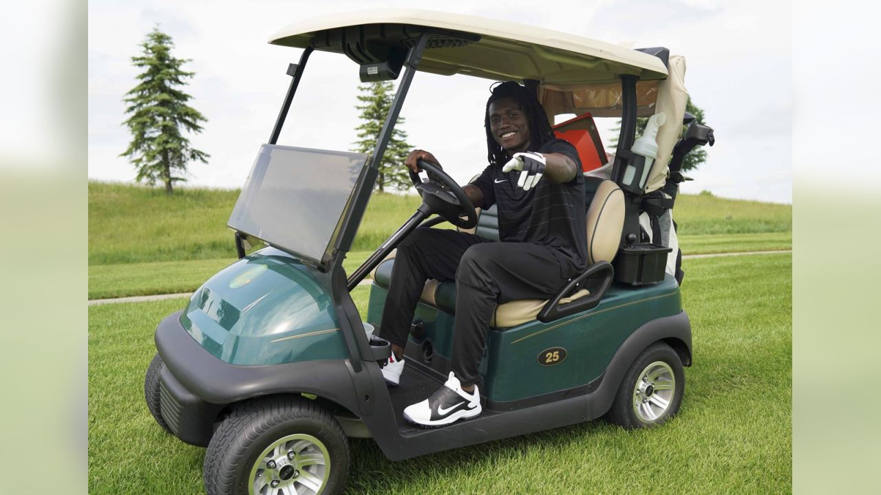 Vikings Golf Cart for cruising around the lake : r/minnesotavikings