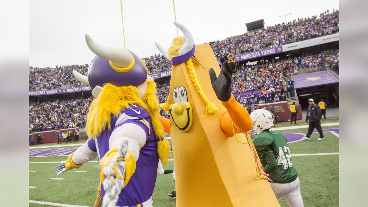 For Ragnar, former mascot of Minnesota Vikings, Super Bowl week is  bittersweet