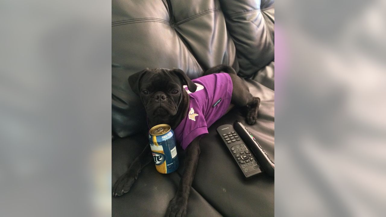 Photos: Fans Celebrate National Puppy Day