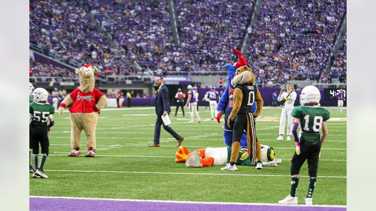 Indianapolis Colts vs. Minnesota Vikings . NFL Game. American Football  League match. Silhouette of professional player celebrate touch down.  Screen in Stock Photo - Alamy