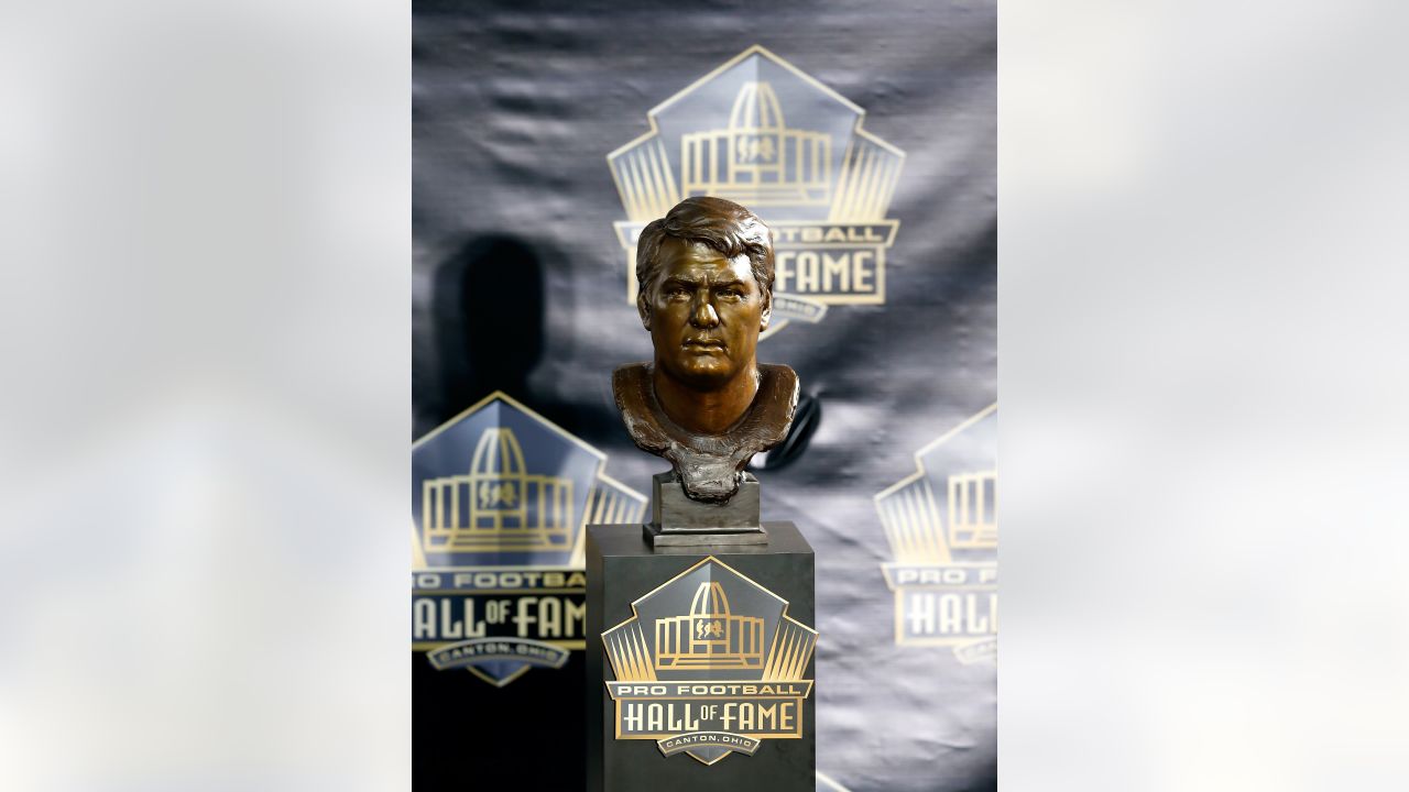 Pro Football Hall of Fame - The artwork created for Mick Tingelhoff's  enshrinement as a part of the HOF Class of 2015. #GoldJacketSpotlight, Minnesota  Vikings