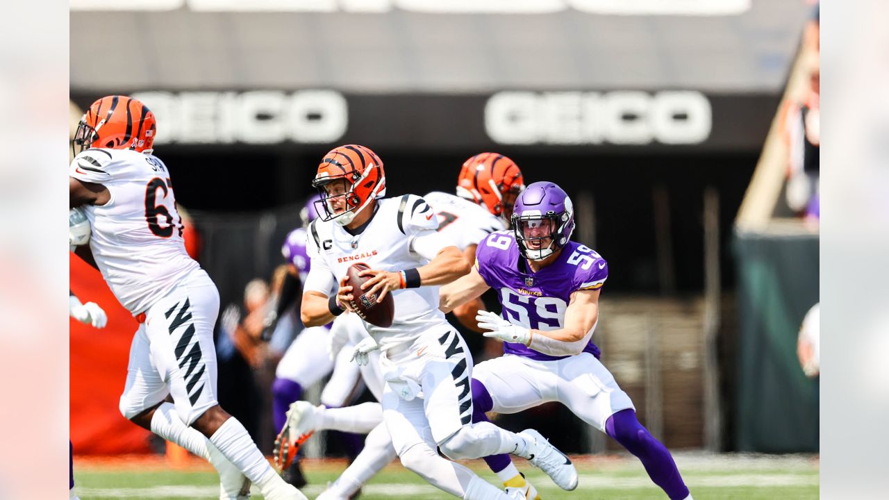 Photo gallery: Vikings stop Bengals