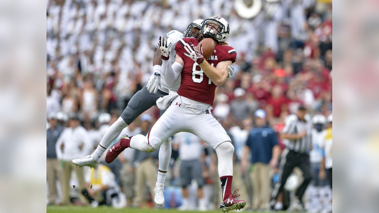 South Carolina football's Hayden Hurst long TV vs Arkansas