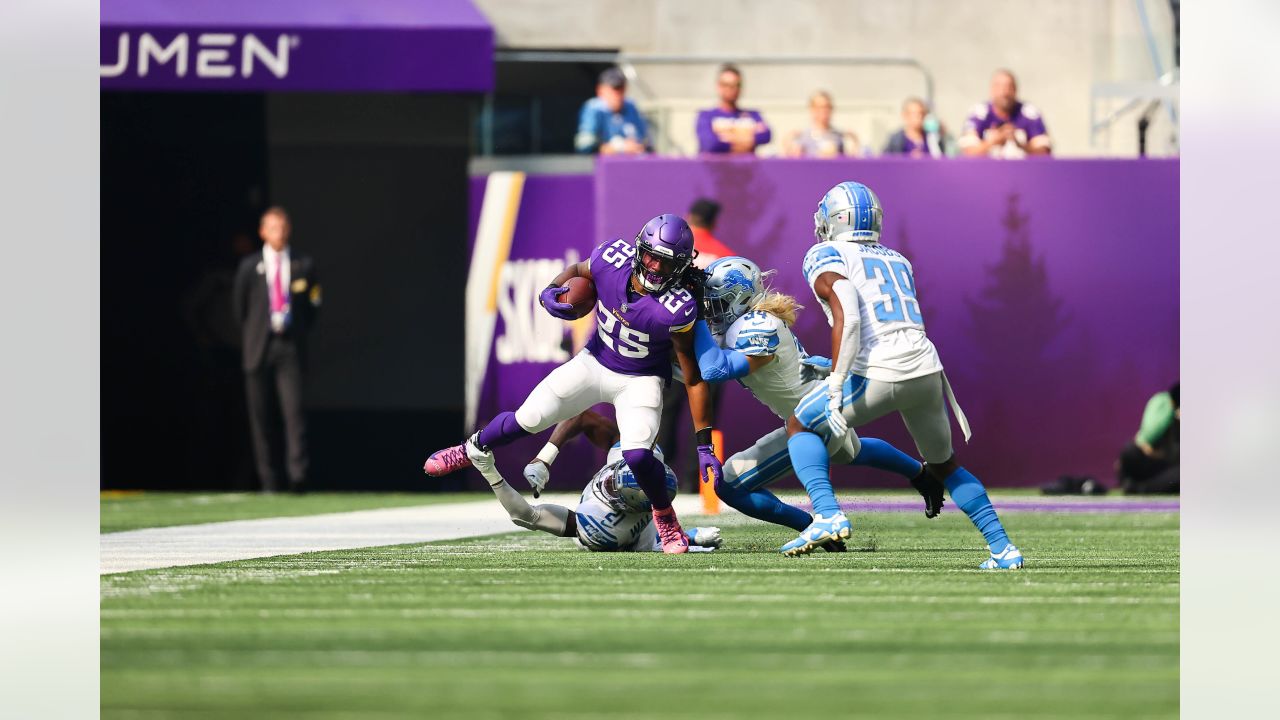 11442 Vikings V Lions Stock Photos, High-Res Pictures, and Images