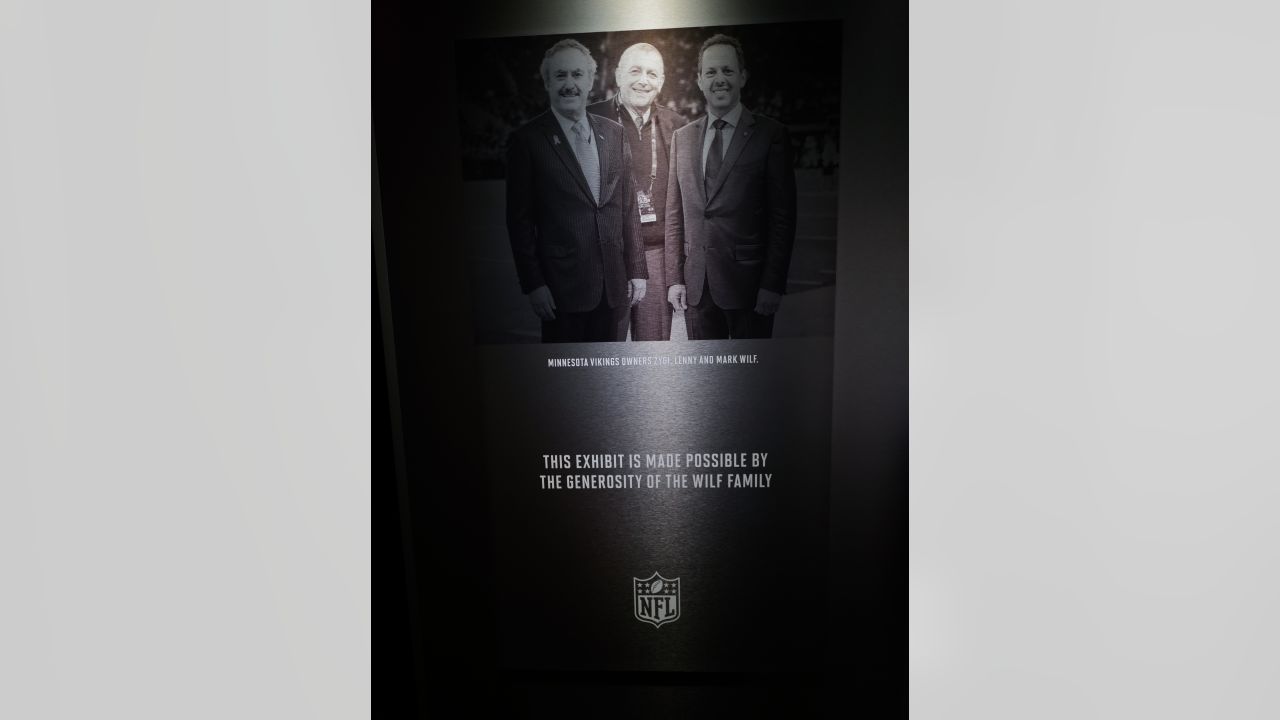 Who Is the Minnesota Vikings Owner? History of the Wilf Family