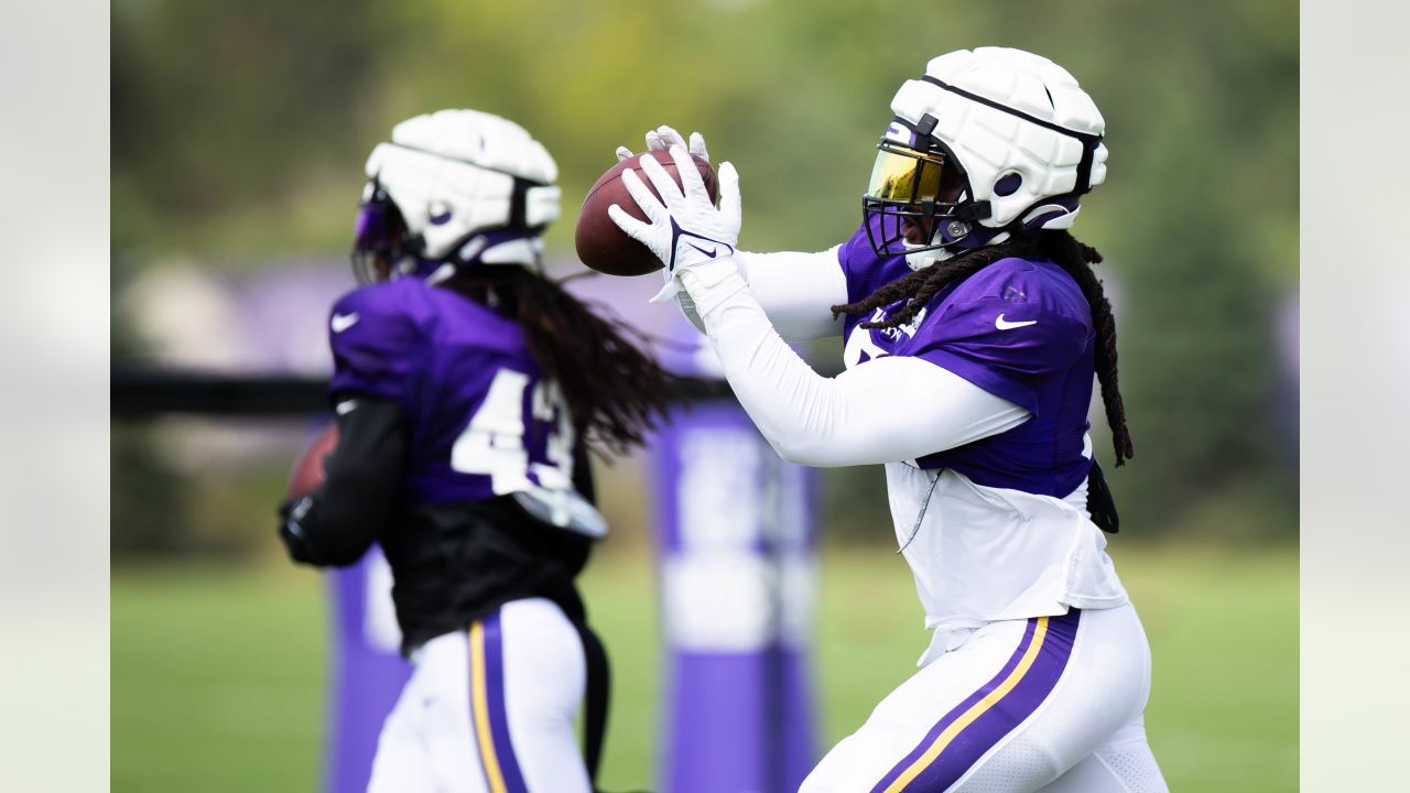 Bears sign Joejuan Williams off the Vikings practice squad - Windy City  Gridiron