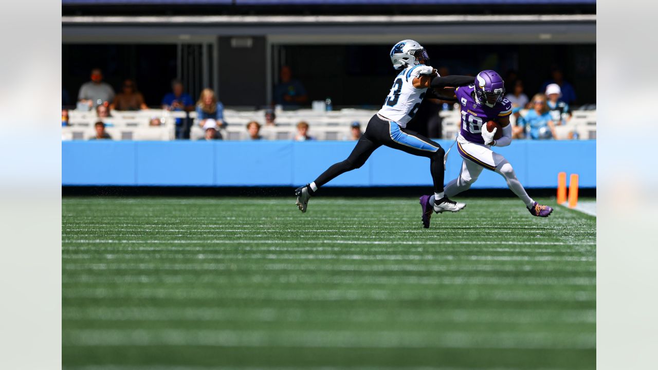 Panthers vs. Vikings, Game Action Gallery