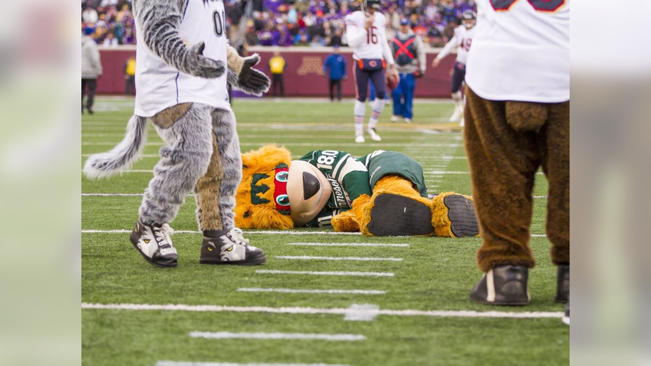 Suite Sports: March Mascot Melee™: Round One of the NFL Bracket