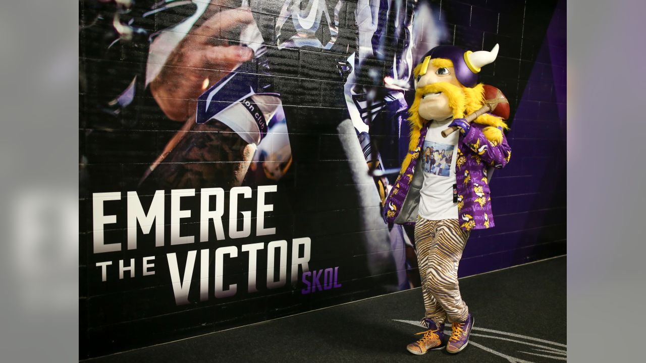 Viktor The Viking, Mascot Wiki