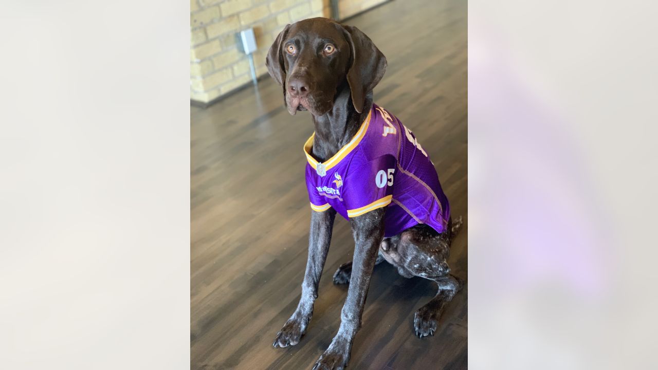 Purple Pups: Jordan & Ivana Hicks Share Hearts with 3 Dogs & Support Pet  Adoptions