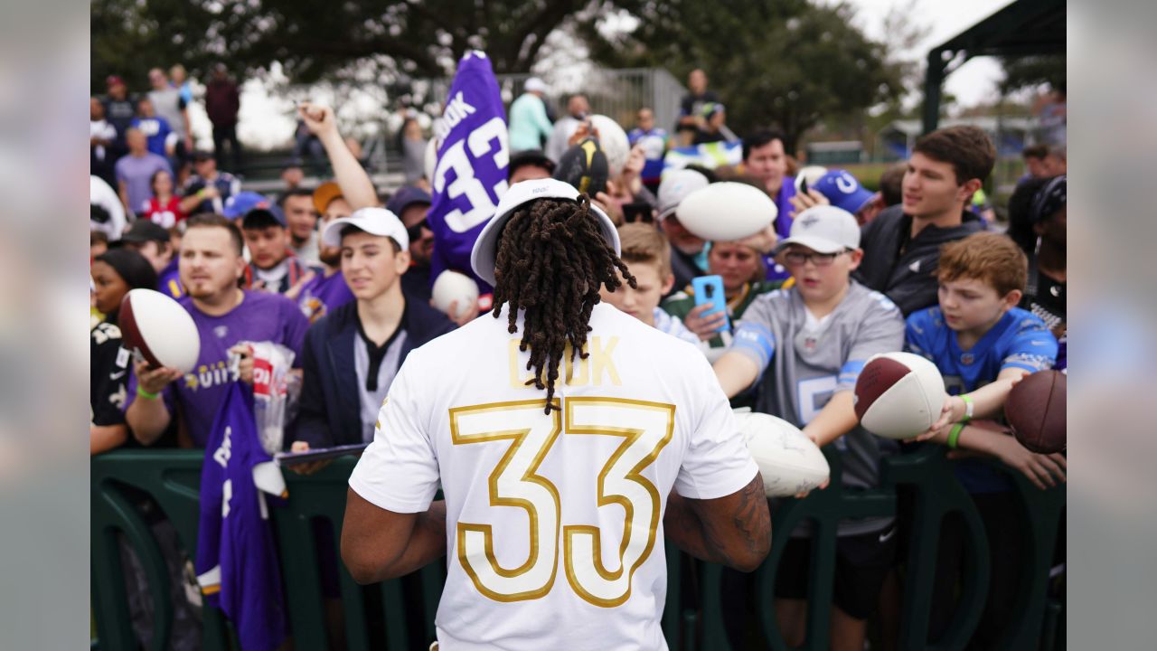 Vikings fans stuffing Pro Bowl ballot box for C.J. Ham