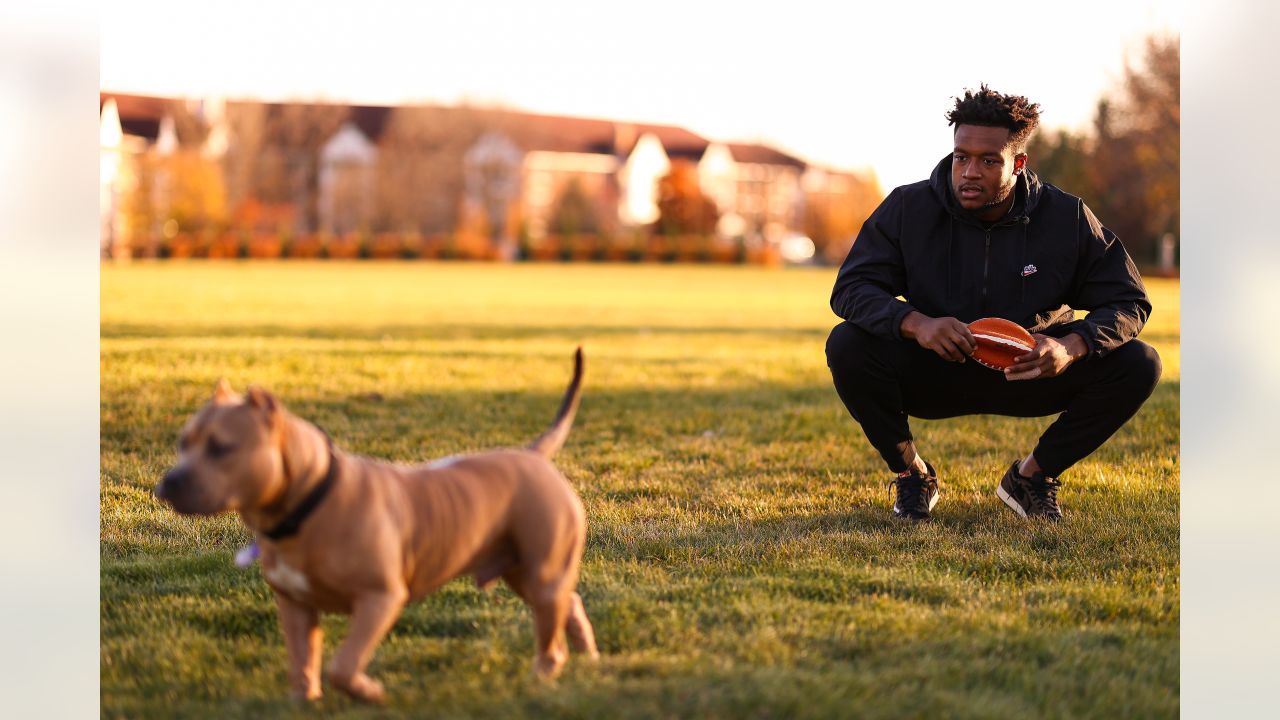 D.J. Wonnum's Dog Simba on Purple Pups