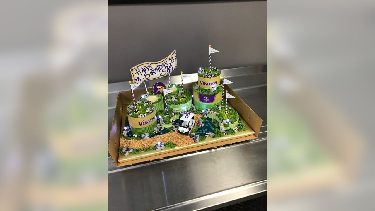 Go Vikings!!! Vanilla Minnesota Vikings Birthday Cake 