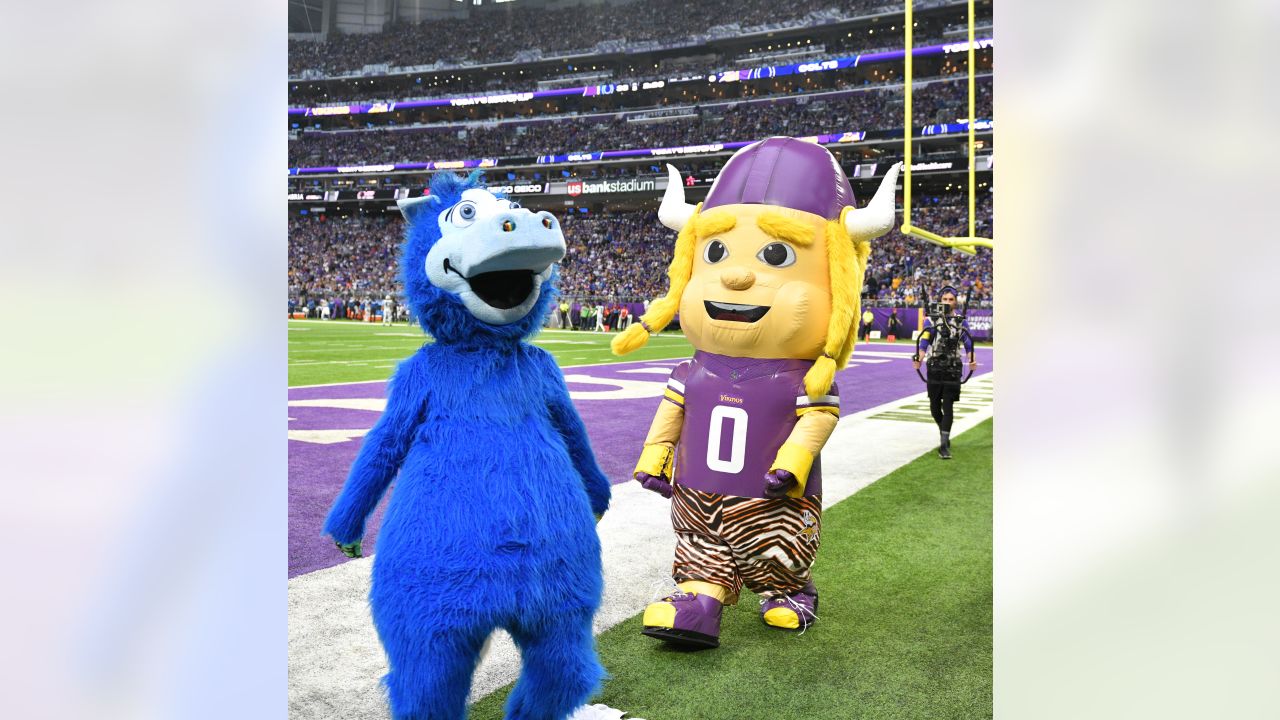 Viktor the Viking, official mascot, Minnesota Vikings art, NFL