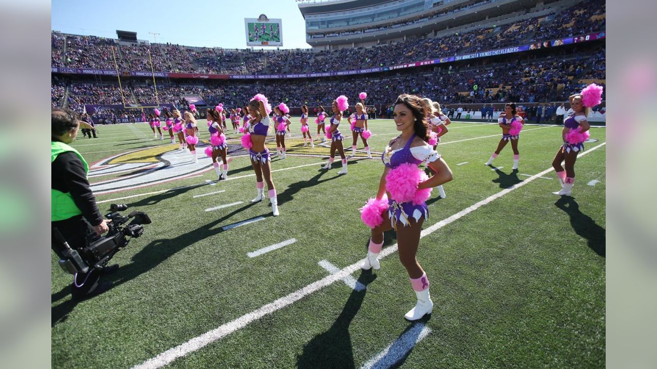 Best of Minnesota Vikings Cheerleaders 2014