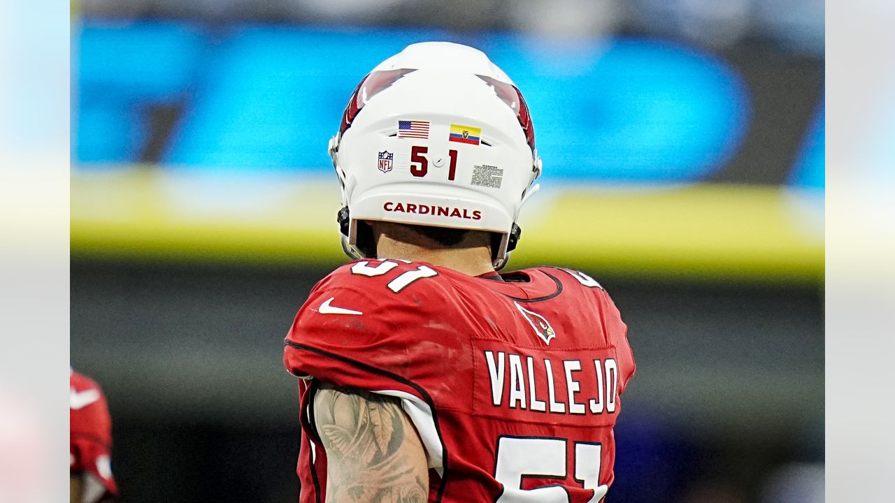 Minnesota Vikings on X: The #Vikings have signed LB Tanner Vallejo and  waived (injured) LB William Kwenkeu. 