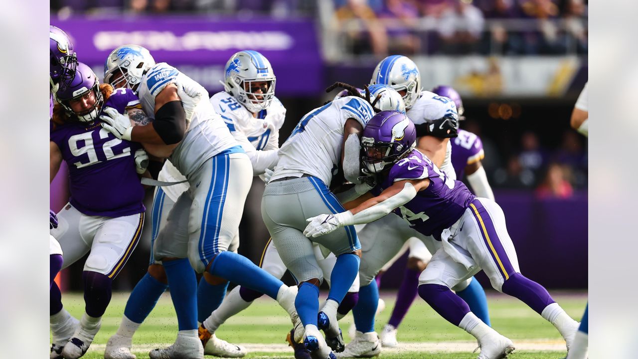 11442 Vikings V Lions Stock Photos, High-Res Pictures, and Images