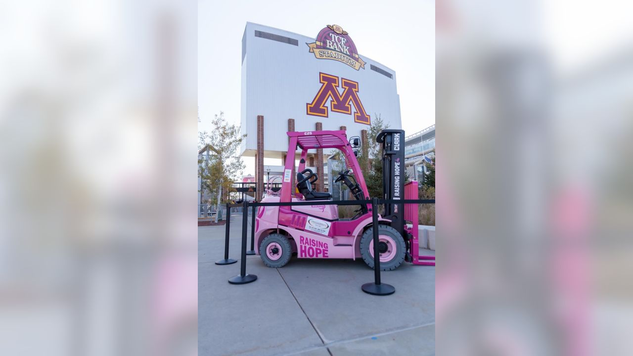 Vikings continue to promote cancer awareness with activities, merchandise -  Valdosta Today