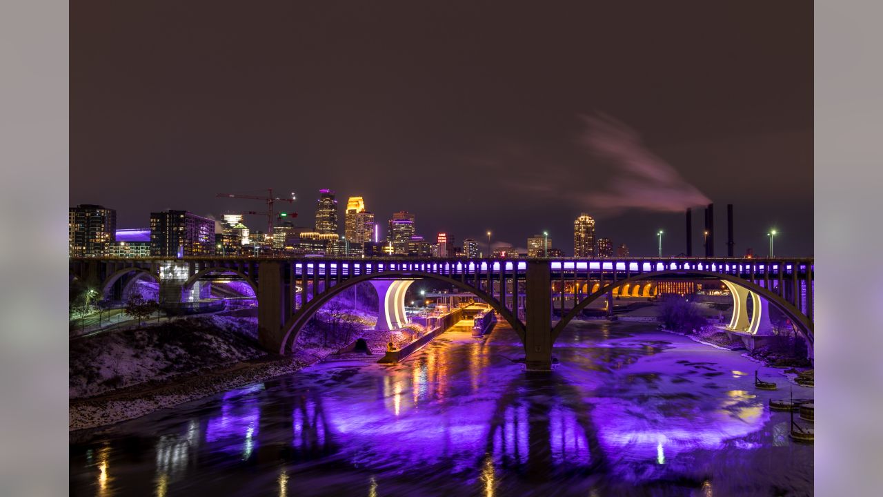 vikings #christmas #tree #purple #gold #theme #football #Minnesota