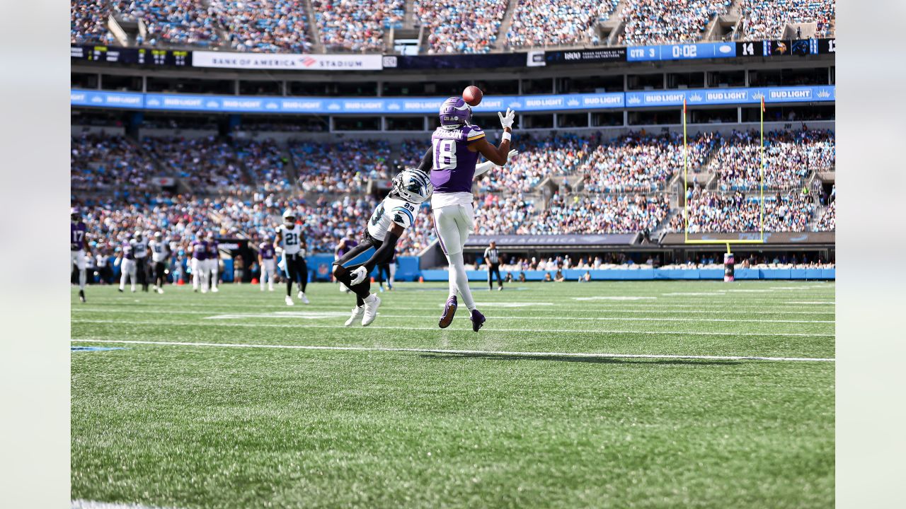 Panthers vs. Vikings, Game Action Gallery