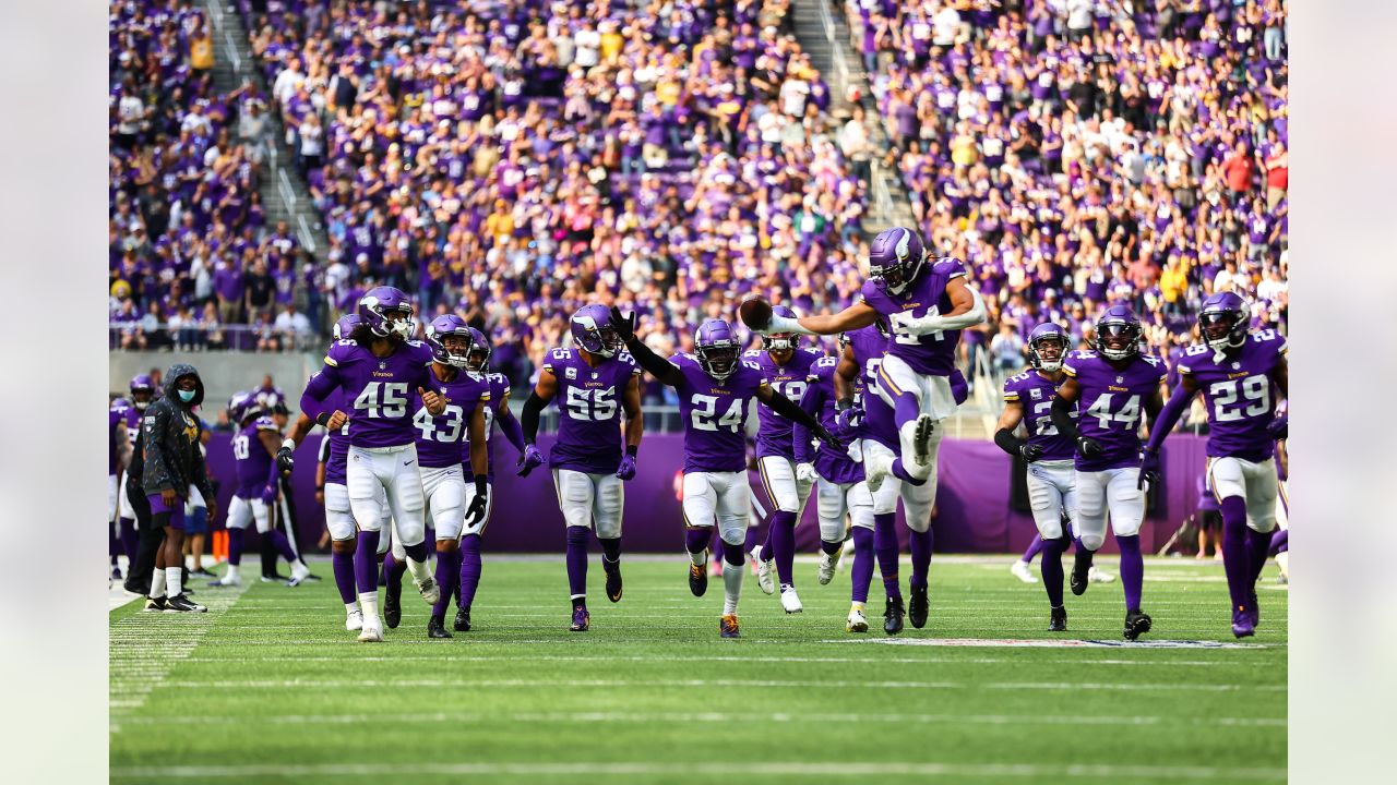 11442 Vikings V Lions Stock Photos, High-Res Pictures, and Images