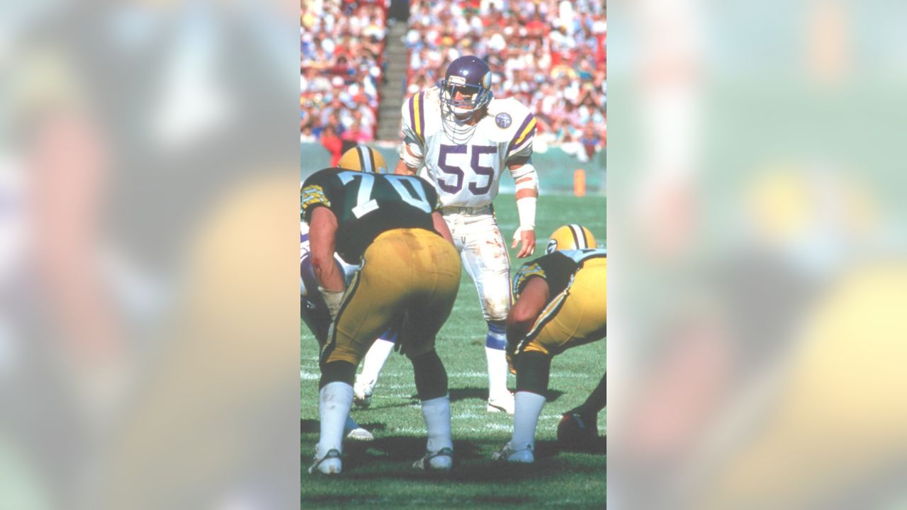 Scott Studwell 8 x 10 Color Photo #5 Minnesota Vikings Great W/COA