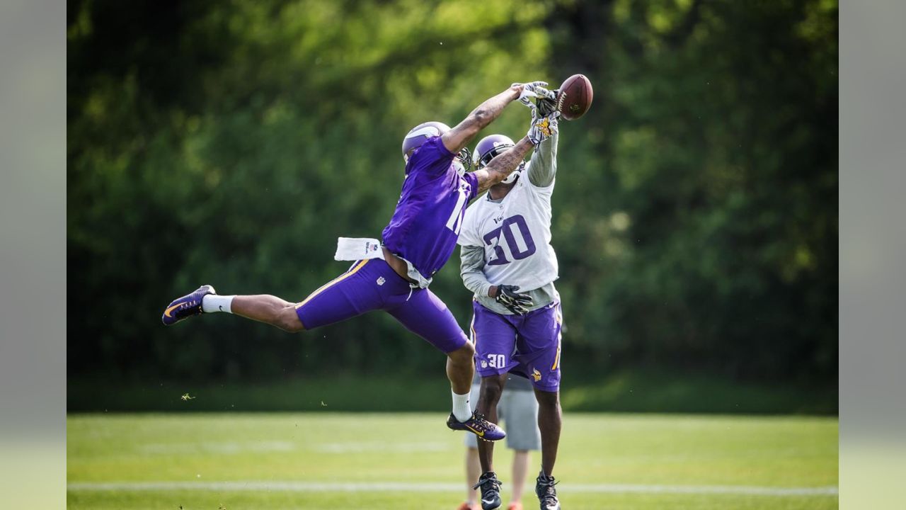 Vikings Training Camp Guide: Harrison Smith, Anthony Harris and the  safeties - The Athletic