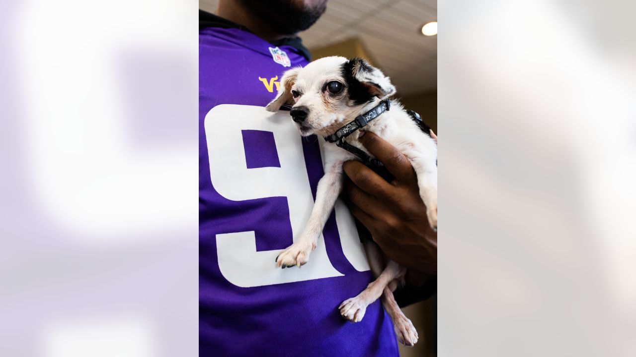 Vikings Team with Animal Shelter & Pet Food Shelf to Make Paws-itive Impact